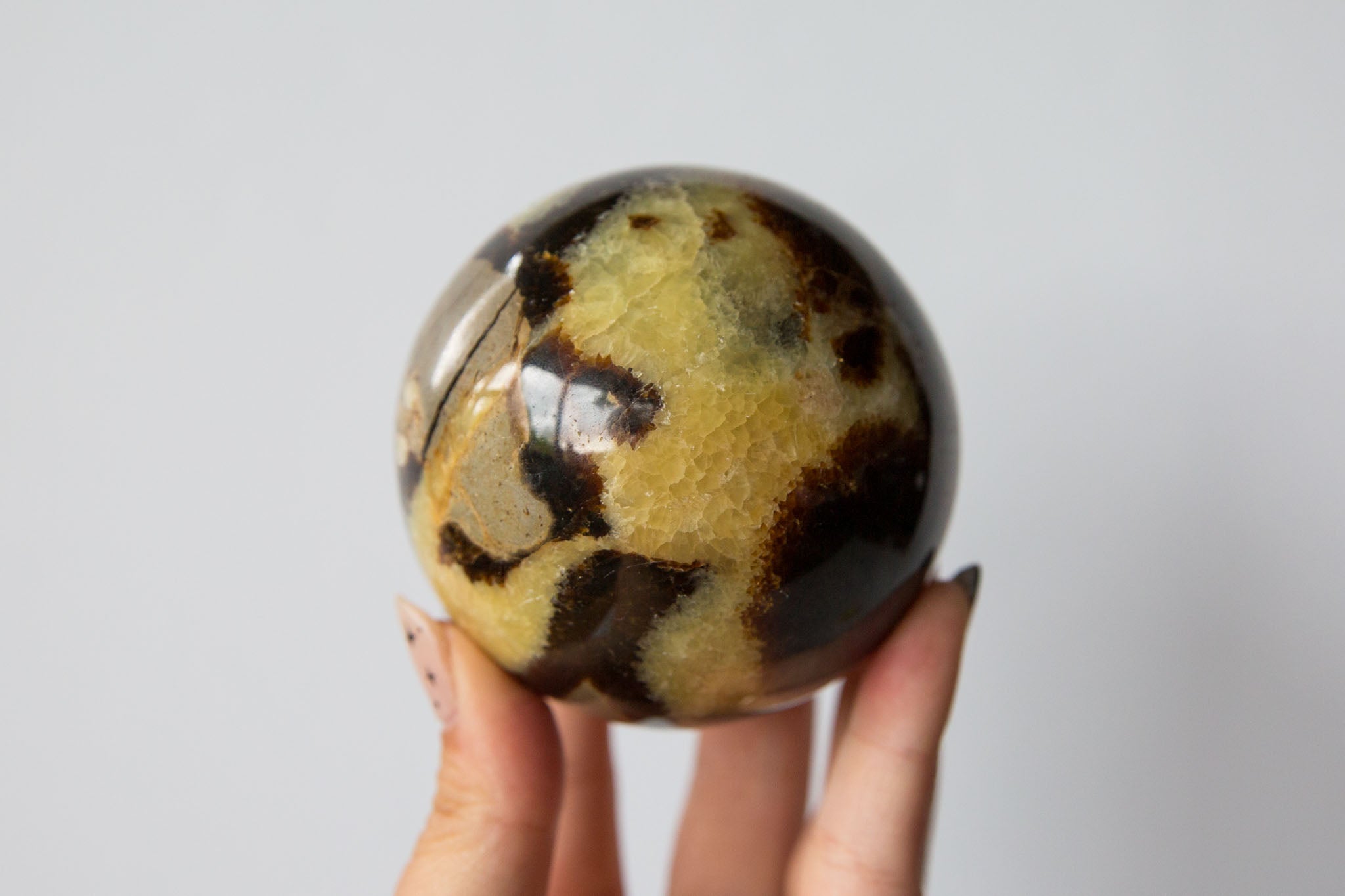 Septarian Sphere #2 - Premium Crystals + Gifts from Clarity Co. - NZ's Favourite Online Crystal Shop