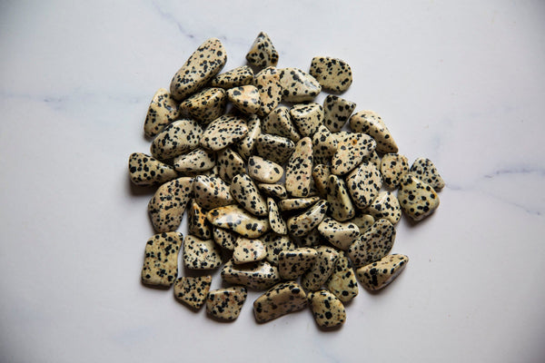 Dalmation Jasper Tumblestone - Premium Crystals + Gifts from Clarity Co. - NZ's Favourite Online Crystal Shop