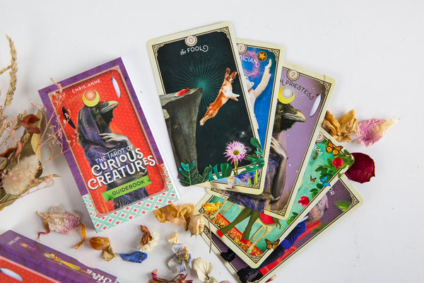 The Tarot Of Curious Creatures - Premium Crystals + Gifts from Clarity Co. - NZ's Favourite Online Crystal Shop