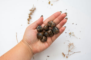Chiastolite Tumblestones - Premium Crystals + Gifts from Clarity Co. - NZ's Favourite Online Crystal Shop