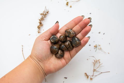 Chiastolite Tumblestones - Premium Crystals + Gifts from Clarity Co. - NZ's Favourite Online Crystal Shop