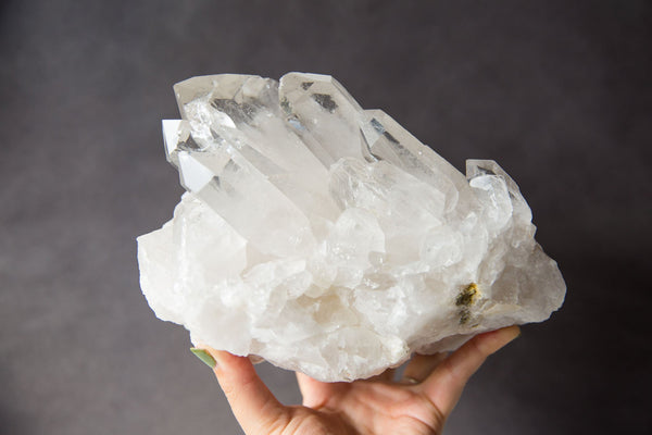 Clear Quartz Master Cluster #2 - Premium Crystals + Gifts from Clarity Co. - NZ's Favourite Online Crystal Shop