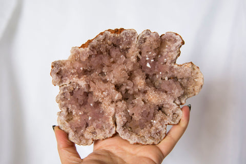 Pink Amethyst XL Geode #1 - Premium Crystals + Gifts from Clarity Co. - NZ's Favourite Online Crystal Shop