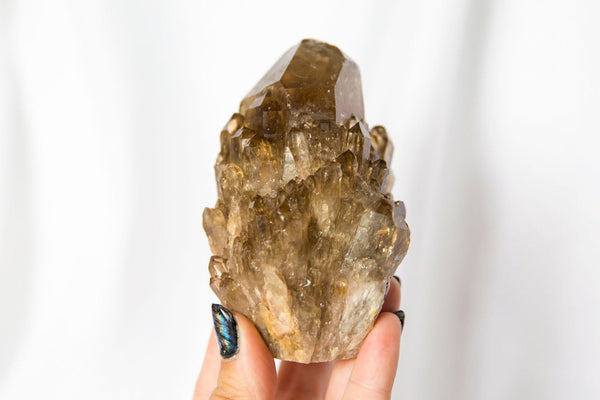 Kundalini Citrine Large Cluster #2 - Premium Crystals + Gifts from Clarity Co. - NZ's Favourite Online Crystal Shop