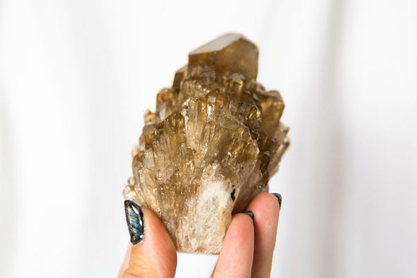 Kundalini Citrine Large Cluster #2 - Premium Crystals + Gifts from Clarity Co. - NZ's Favourite Online Crystal Shop