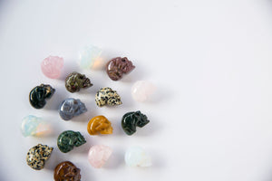 Mini Mixed Skulls - Premium Crystals + Gifts from Clarity Co. - NZ's Favourite Online Crystal Shop