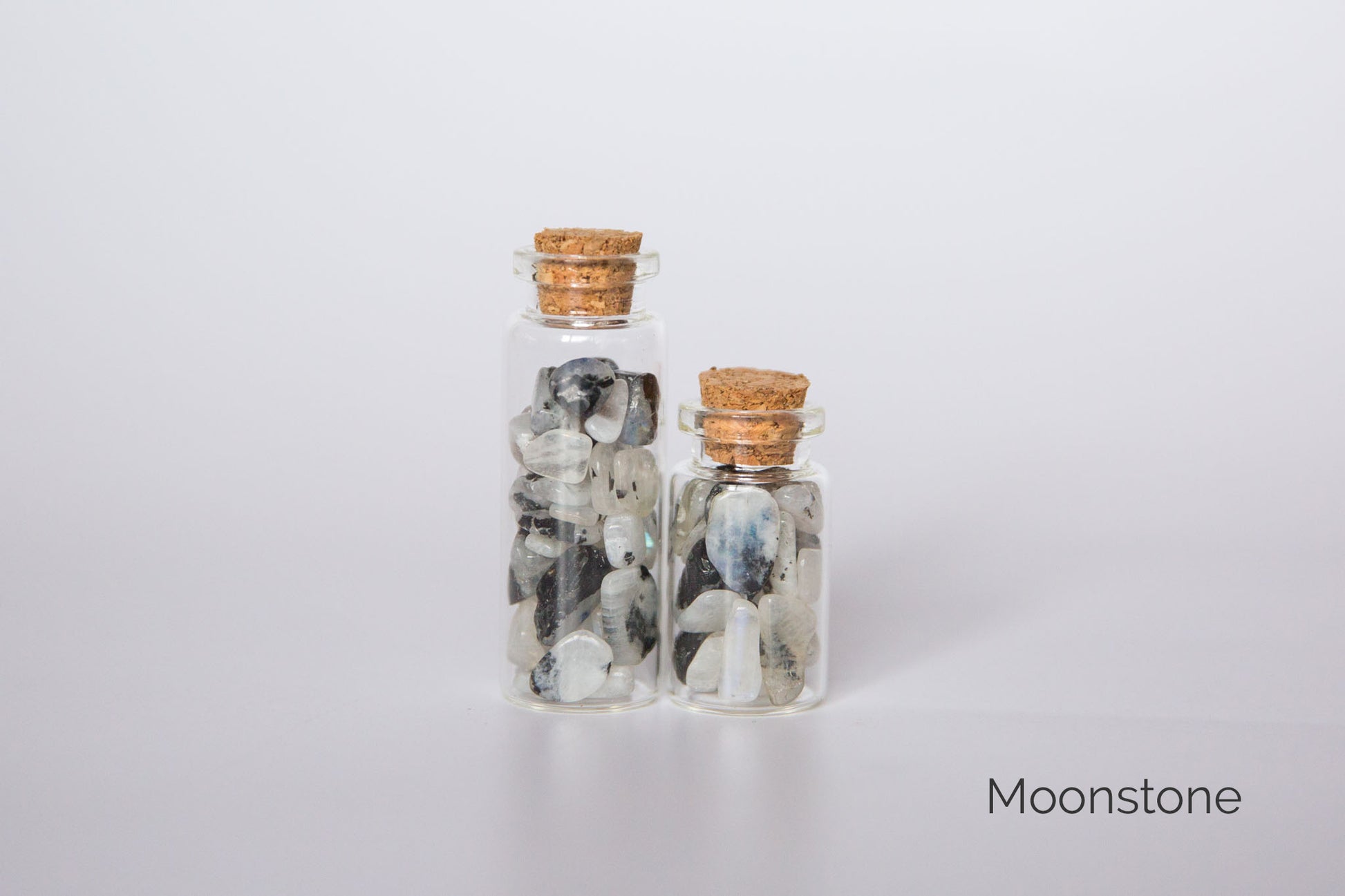 Chip Jars - Premium Chip Jars from Clarity Co. - Just $5.00! Shop now at Clarity Co.