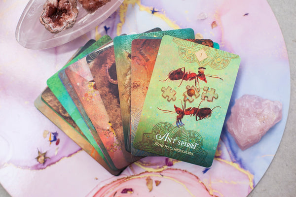 Spirit Animal Oracle Deck - Colette Baron-Reid - Premium Crystals + Gifts from Clarity Co. - NZ's Favourite Online Crystal Shop