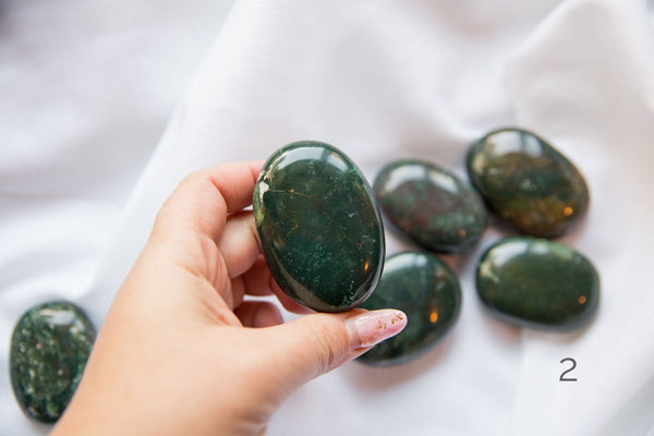 Bloodstone Palmstones - Premium Crystals + Gifts from Clarity Co. - NZ's Favourite Online Crystal Shop