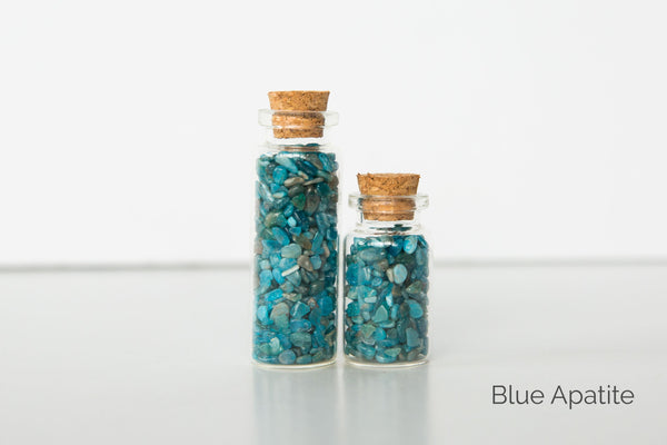 Chip Jars - Premium Crystals + Gifts from Clarity Co. - NZ's Favourite Online Crystal Shop