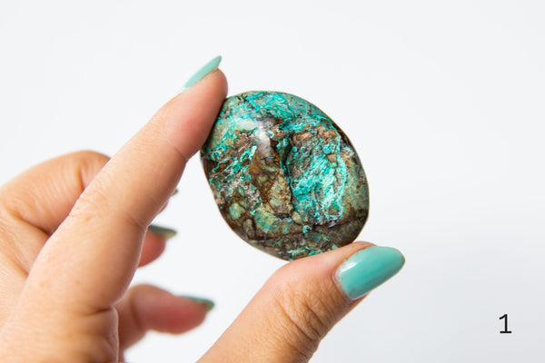 Chrysocolla Palmstones - Premium Crystals + Gifts from Clarity Co. - NZ's Favourite Online Crystal Shop