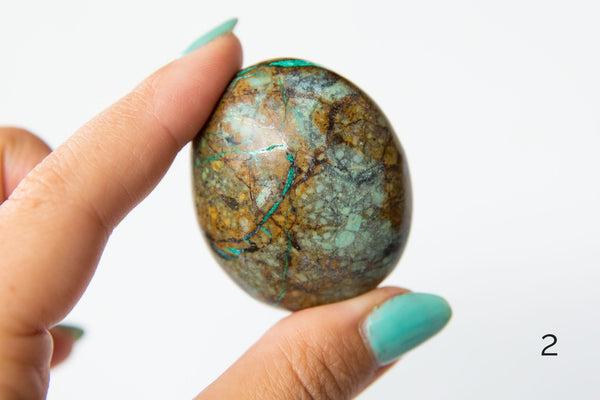 Chrysocolla Palmstones - Premium Crystals + Gifts from Clarity Co. - NZ's Favourite Online Crystal Shop
