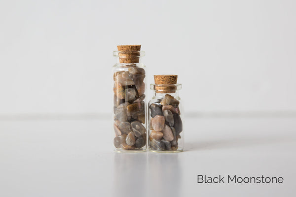 Chip Jars - Premium Crystals + Gifts from Clarity Co. - NZ's Favourite Online Crystal Shop