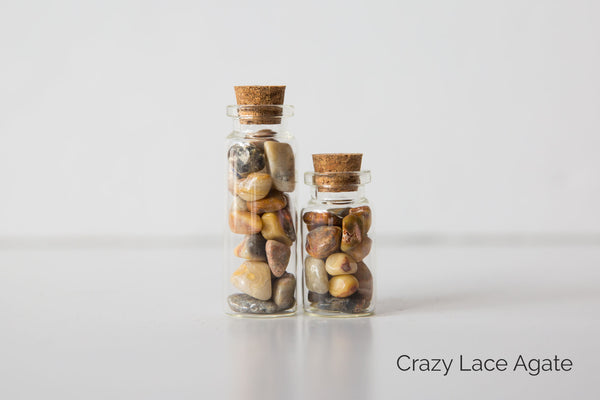 Chip Jars - Premium Chip Jars from Clarity Co. - Just $5.00! Shop now at Clarity Co.