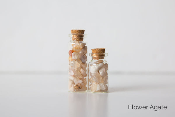 Chip Jars - Premium Chip Jars from Clarity Co. - Just $5.00! Shop now at Clarity Co.