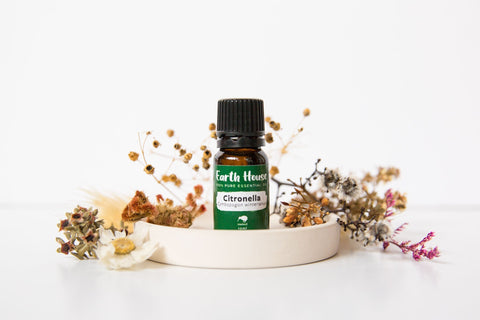 Citronella Essential Oil - Earth House - Premium Crystals + Gifts from Earth House - NZ's Favourite Online Crystal Shop