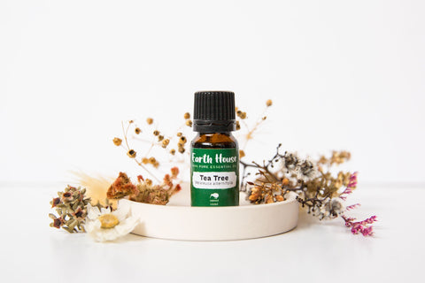 Tea Tree Essential Oil - Earth House - Premium Crystals + Gifts from Earth House - NZ's Favourite Online Crystal Shop