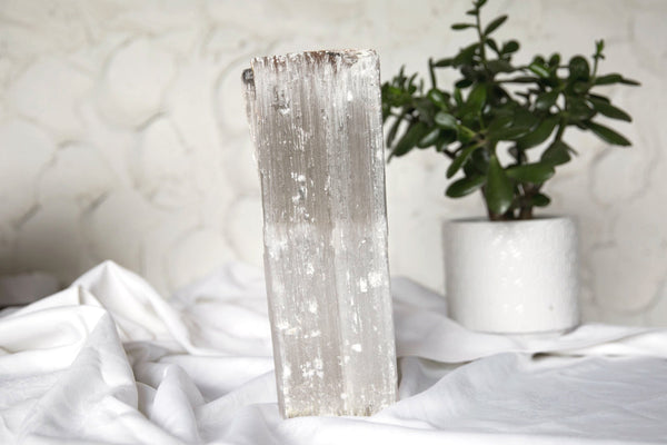 Satin Spar (Selenite) Standing Log - Premium Crystals + Gifts from Clarity Co. - NZ's Favourite Online Crystal Shop