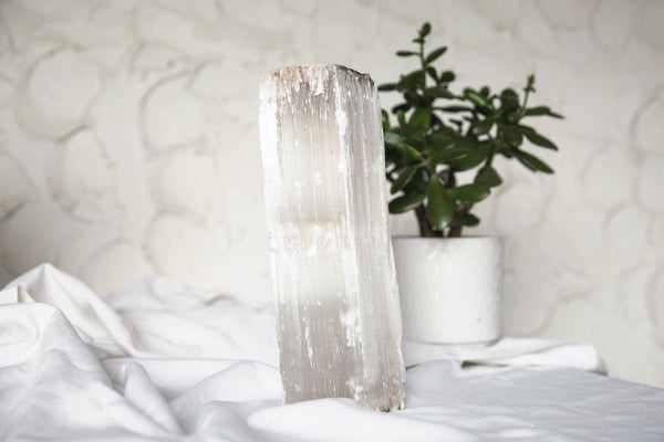 Satin Spar (Selenite) Standing Log - Premium Crystals + Gifts from Clarity Co. - NZ's Favourite Online Crystal Shop